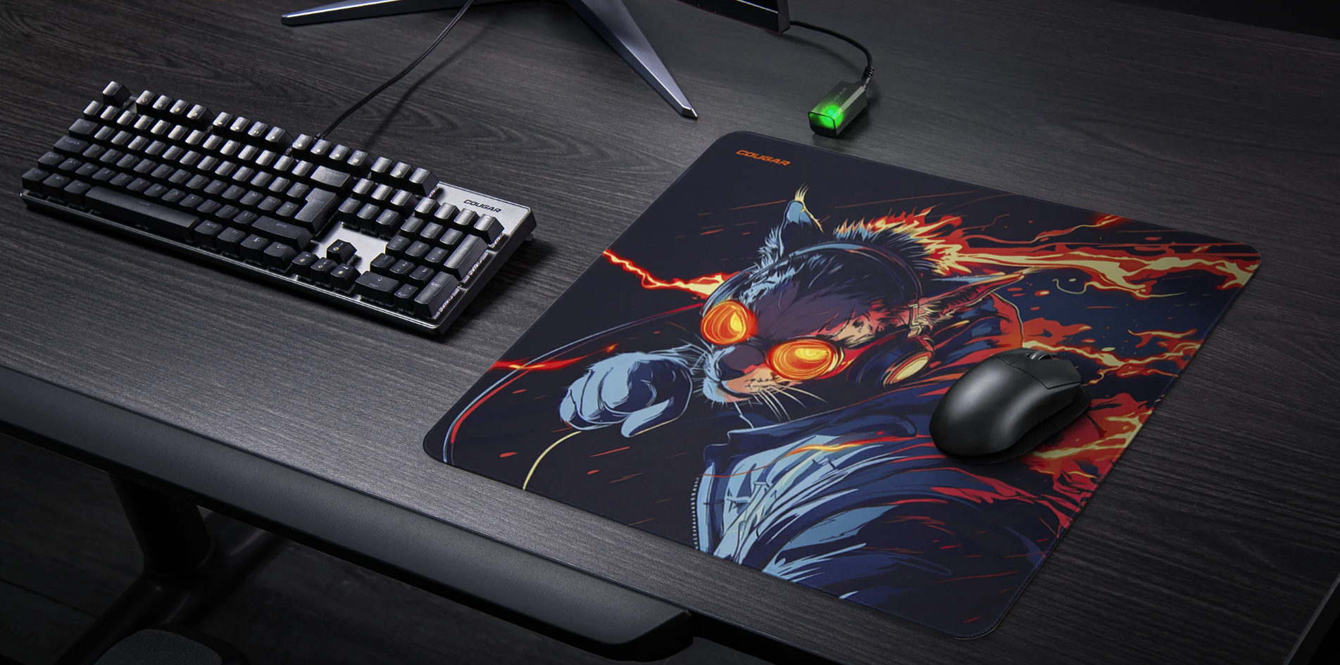 Snímek obrazovky 2026-03-12 142149